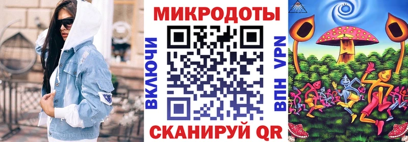 Галлюциногенные грибы Psilocybine cubensis дарнет шоп blacksprut ссылка Ядрин