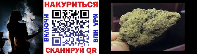 купить наркотик  Ядрин  MEGA ссылки  Бошки Шишки сатива 